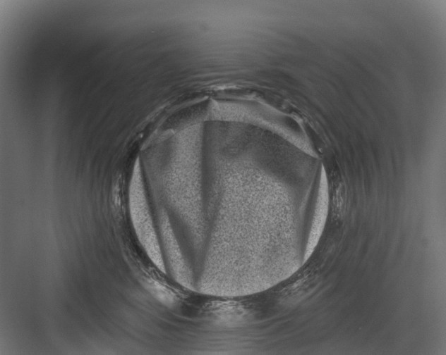 X0000082680424200702161703