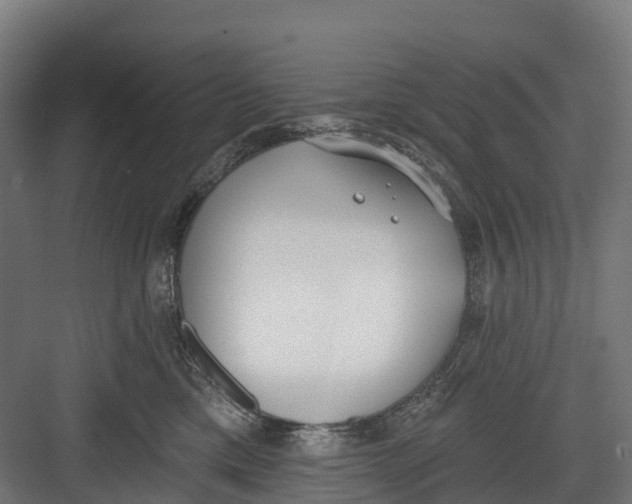 X0000082680425200702161703