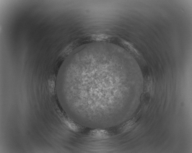 X0000082680427200702161703