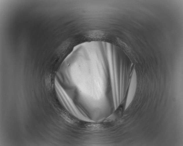 X0000082680428200702161703