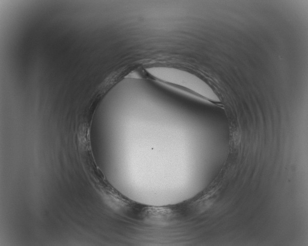 X0000082680429200702161703