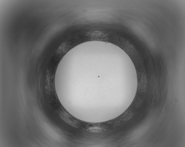 X0000082680430200702161703