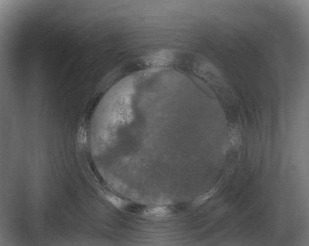 X0000082680431200702161703