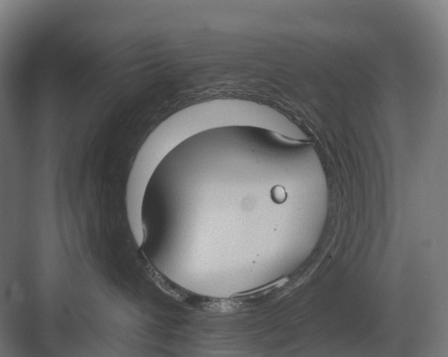 X0000082680432200702161703