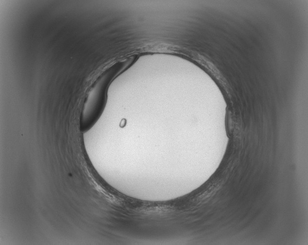 X0000082680433200702161702