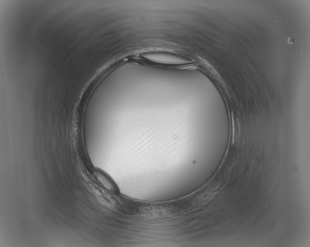 X0000082680435200702161702