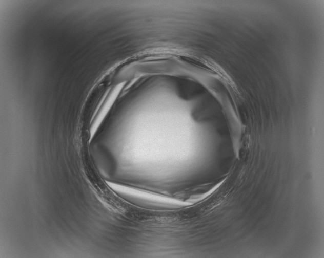 X0000082680436200702161702