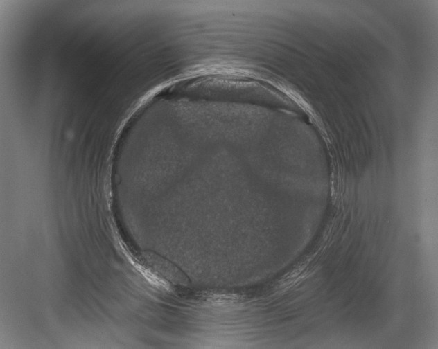 X0000082680438200702161702