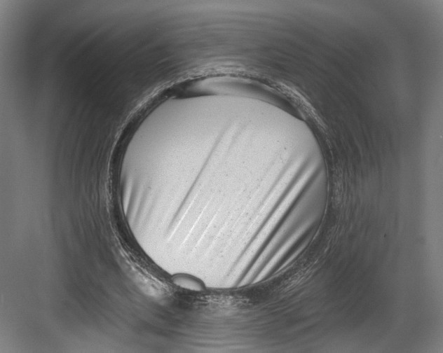 X0000082680439200702161702