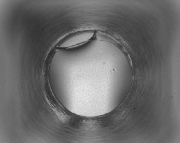 X0000082680440200702161702