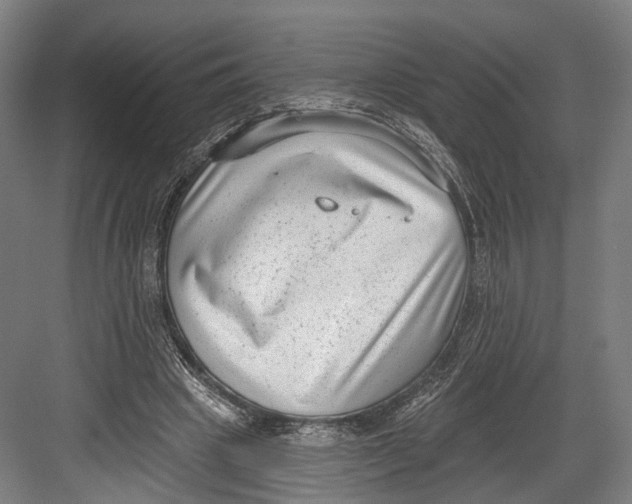 X0000082680441200702161702