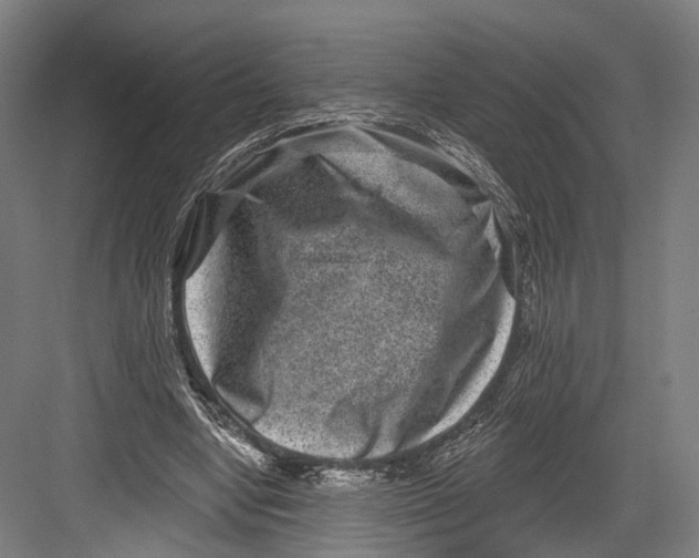 X0000082680442200702161702