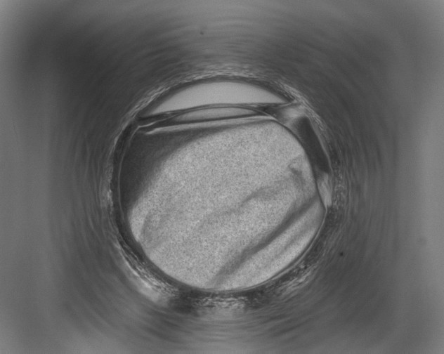 X0000082680443200702161702