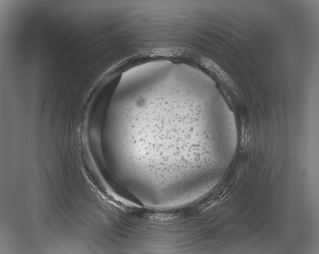 X0000082680444200702161702