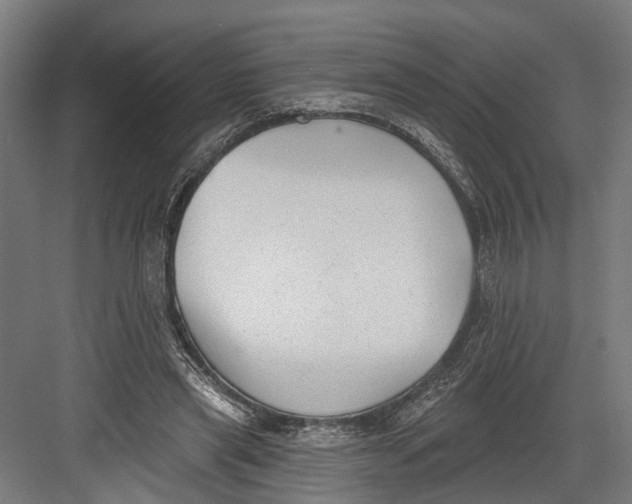 X0000082680445200702161702