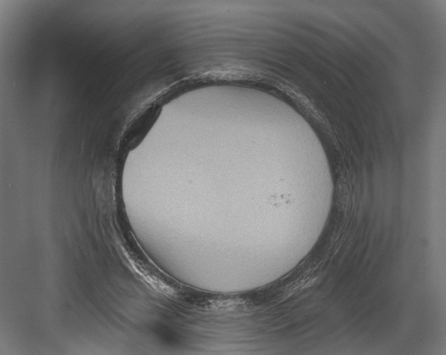 X0000082680446200702161702