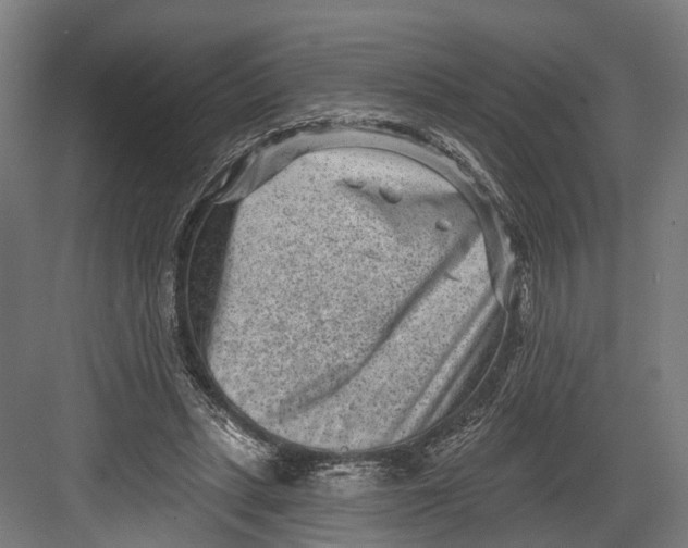 X0000082680447200702161702