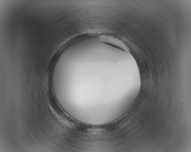 X0000082680448200702161702