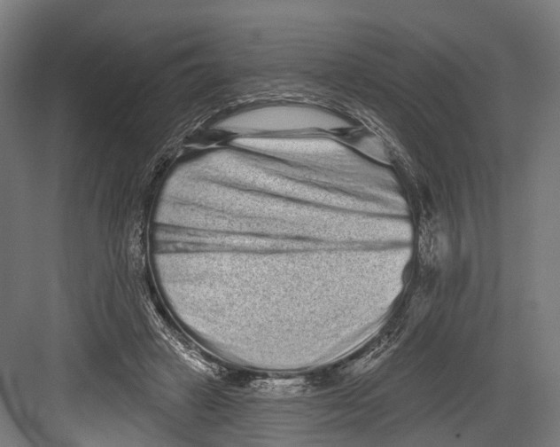 X0000082680449200702161702