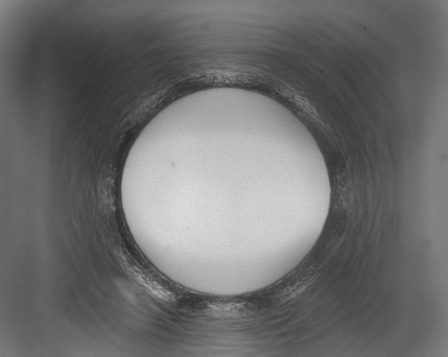 X0000082680450200702161702