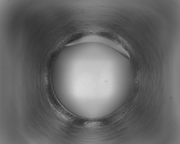 X0000082680452200702161702