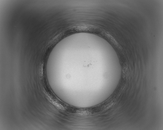 X0000082680454200702161702