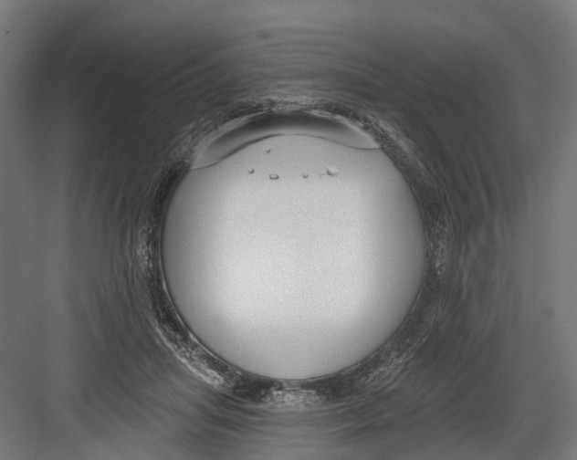 X0000082680455200702161702