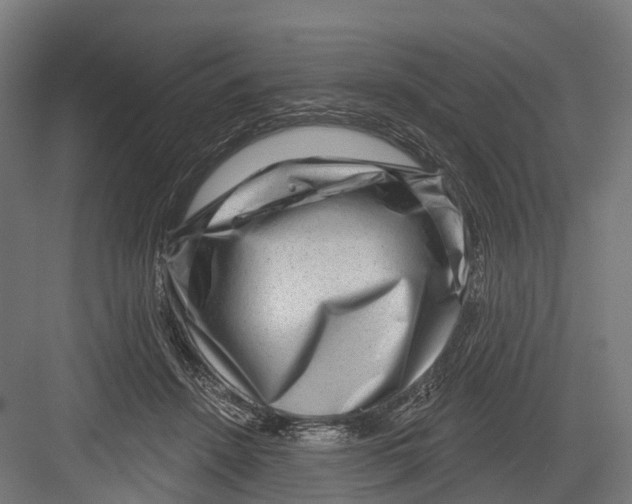 X0000082680456200702161702