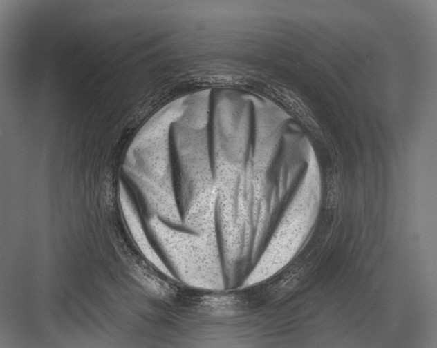 X0000082680457200702161702