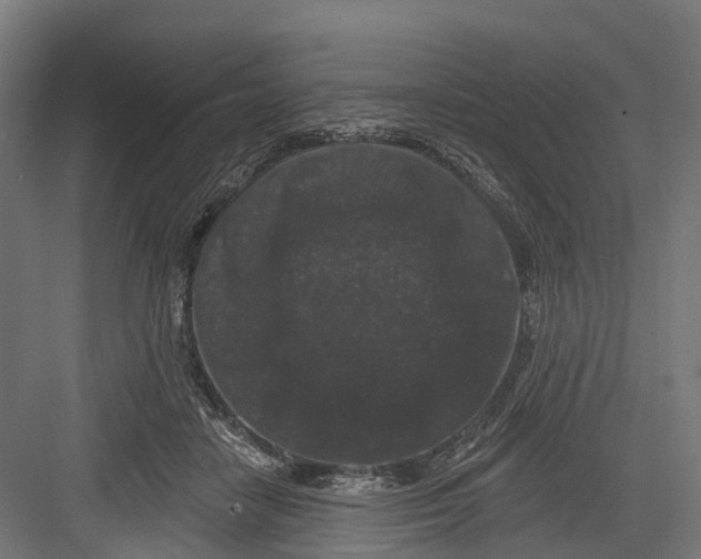 X0000082680458200702161702