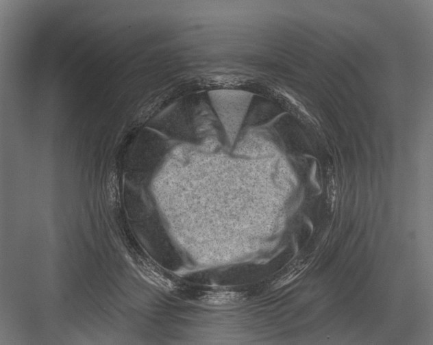 X0000082680459200702161703