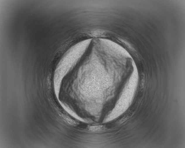 X0000082680461200702161703