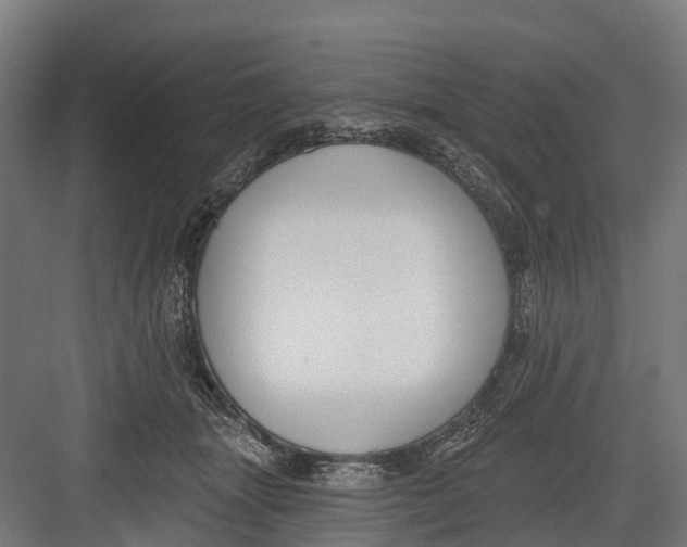 X0000082680463200702161703