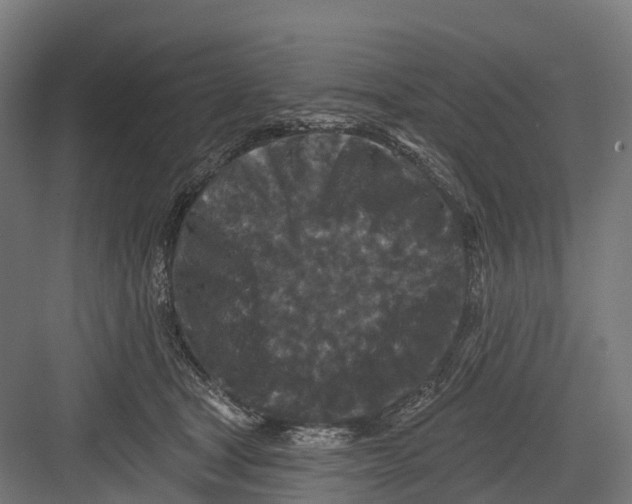 X0000082680465200702161703