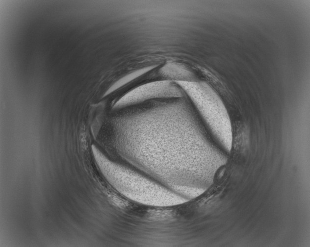 X0000082680469200702161703