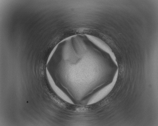 X0000082680470200702161703