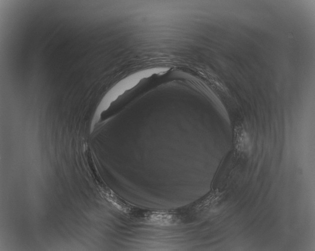 X0000082680471200702161703