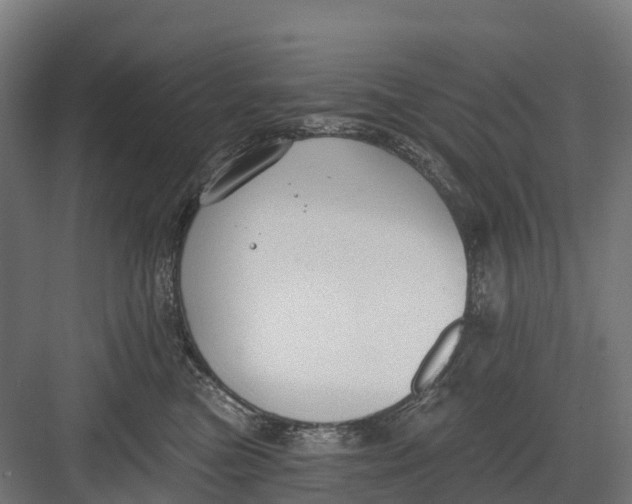 X0000082680473200702161703