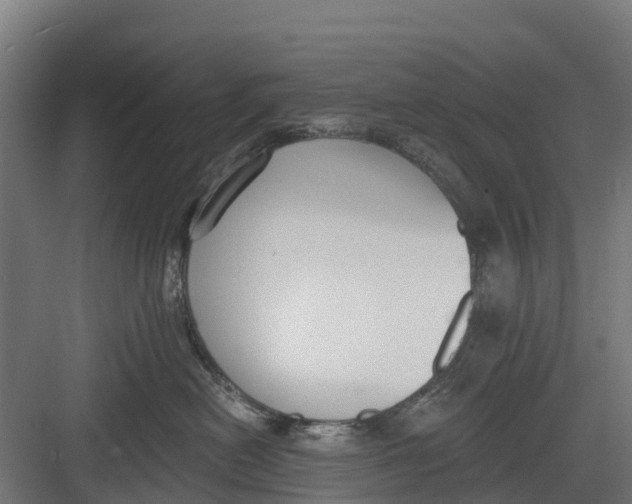 X0000082680478200702161703