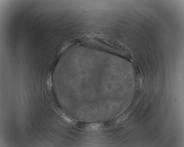 X0000082680479200702161703