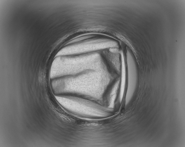 X0000082680483200702161702