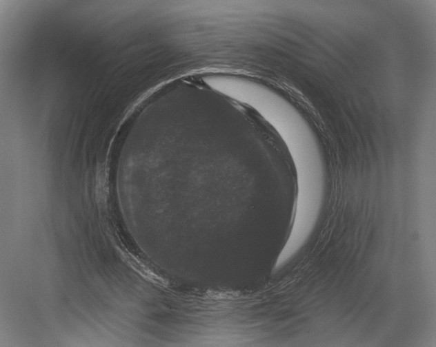 X0000082680484200702161702