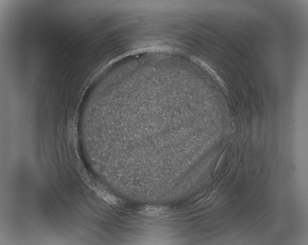 X0000082680487200702161702