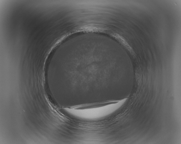 X0000082680488200702161702