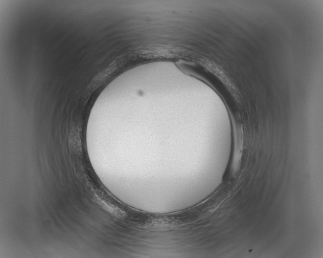 X0000082680489200702161702