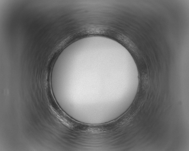 X0000082680490200702161702