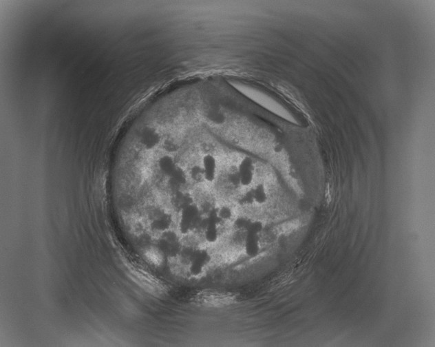 X0000082680491200702161702