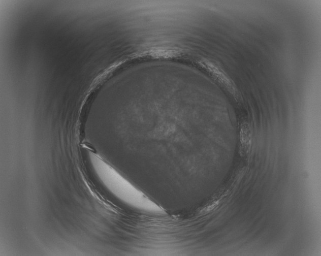 X0000082680492200702161702