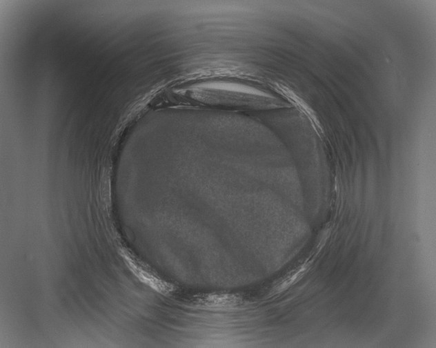 X0000082680493200702161702