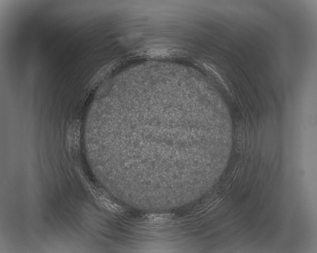 X0000082680495200702161702